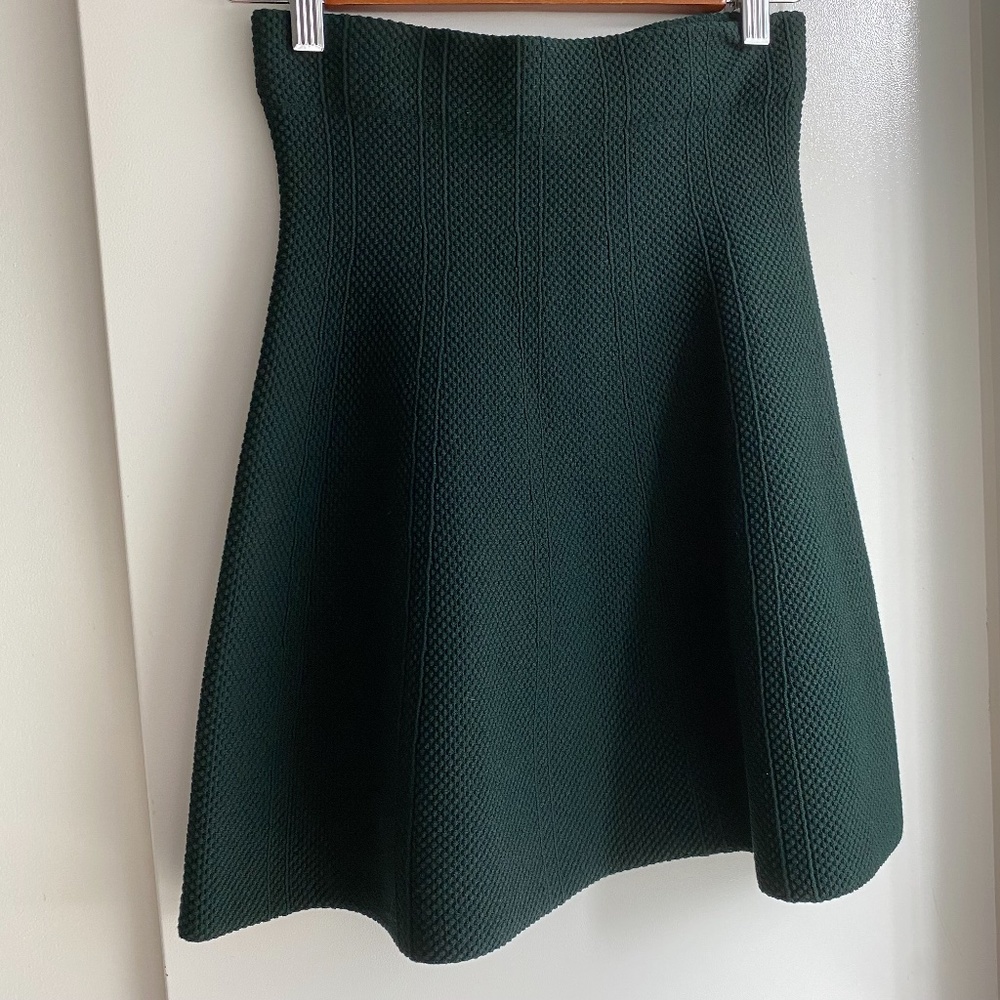 Zara Skater Skirt